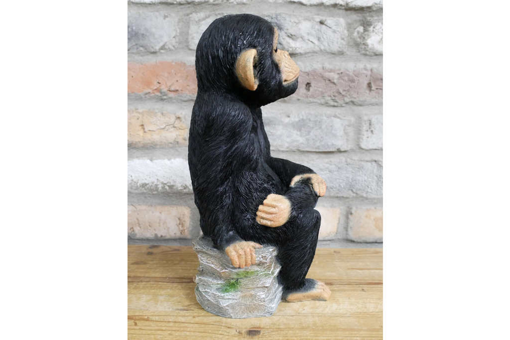 Monkey Sat On Rocks