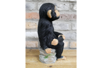 Monkey Sat On Rocks