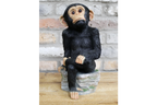 Monkey Sat On Rocks