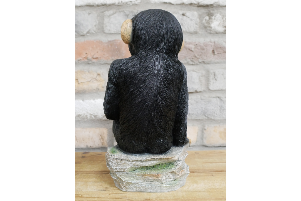 Monkey Sat On Rocks