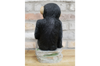 Monkey Sat On Rocks