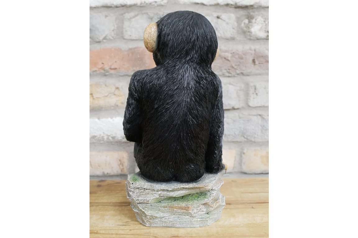 Monkey Sat On Rocks