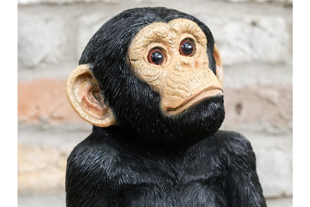 Monkey Sat On Rocks