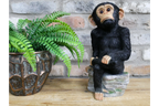Monkey Sat On Rocks
