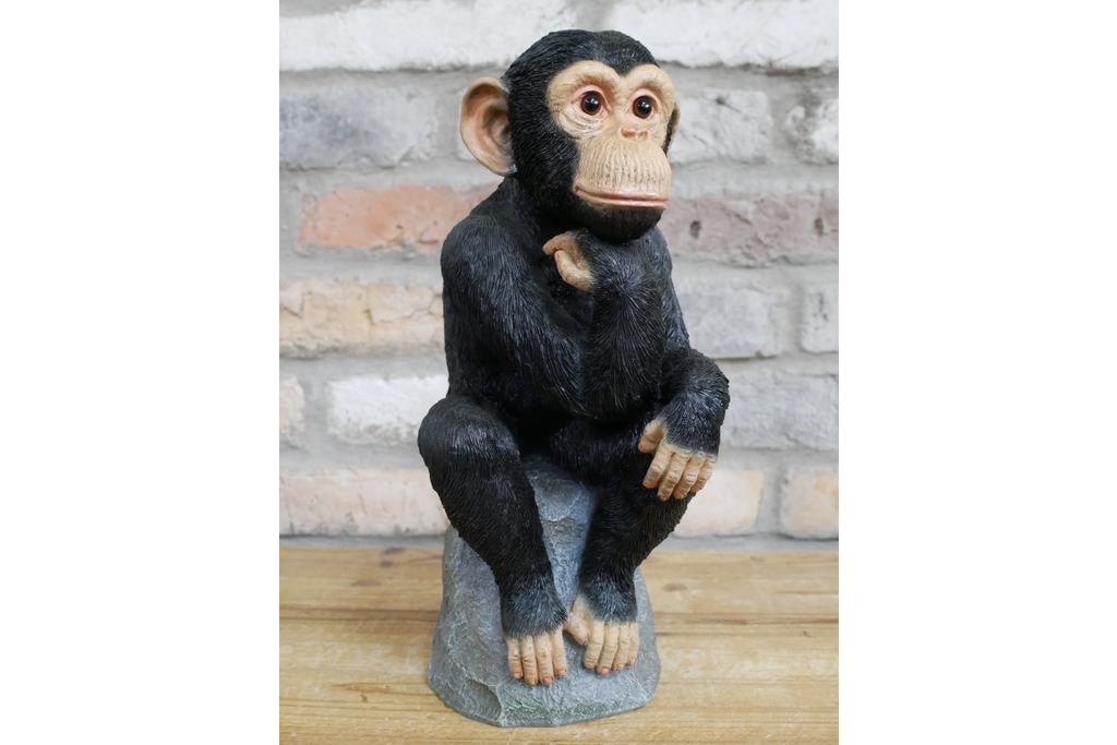 Monkey Thinking