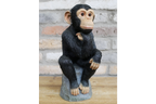 Monkey Thinking