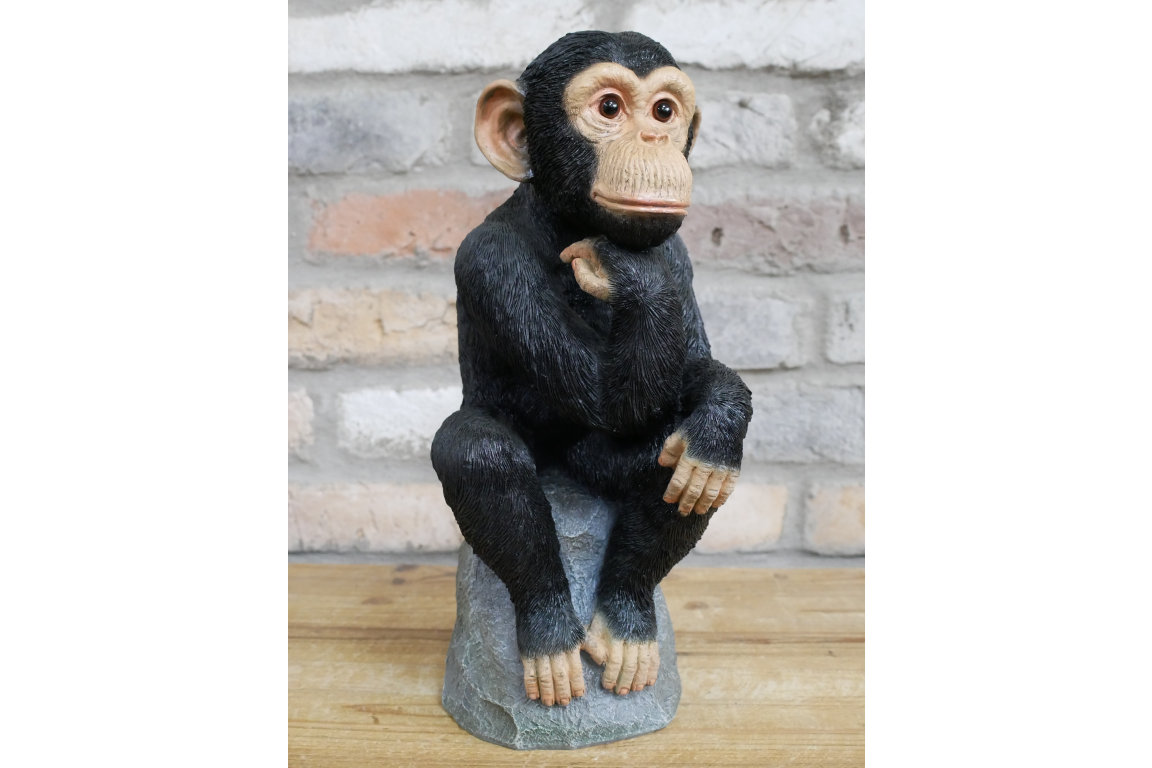 Monkey Thinking