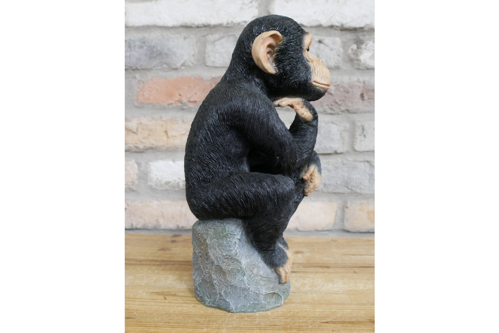 Monkey Thinking