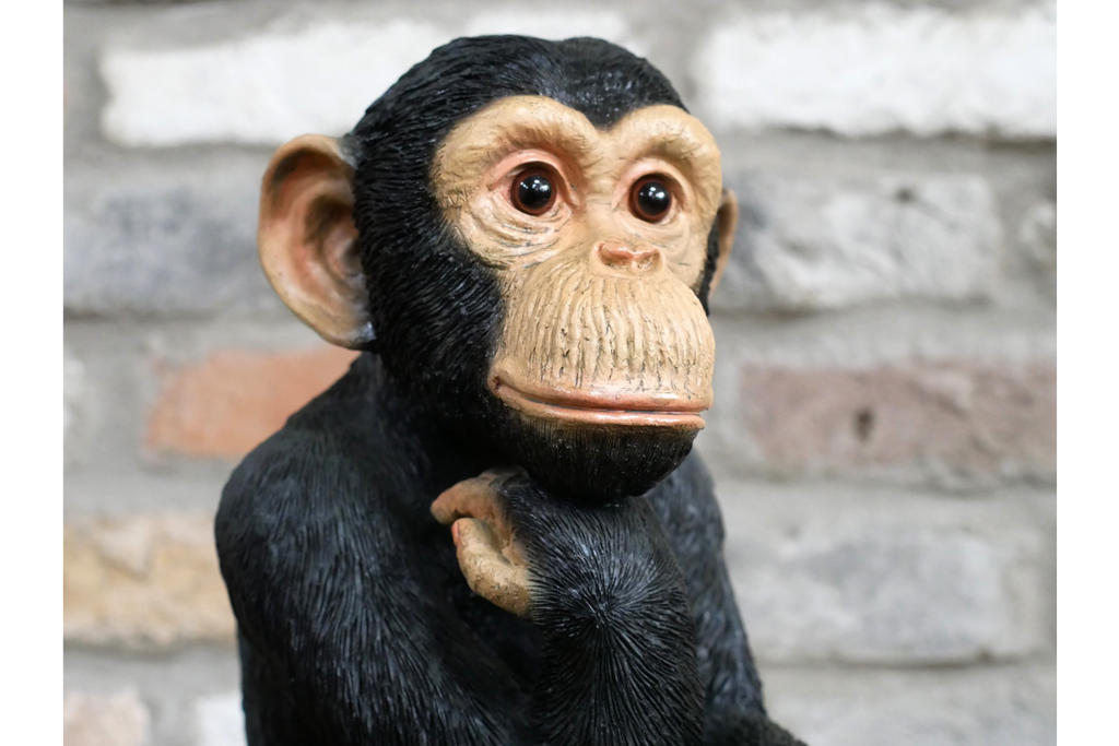 Monkey Thinking