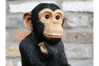 Monkey Thinking