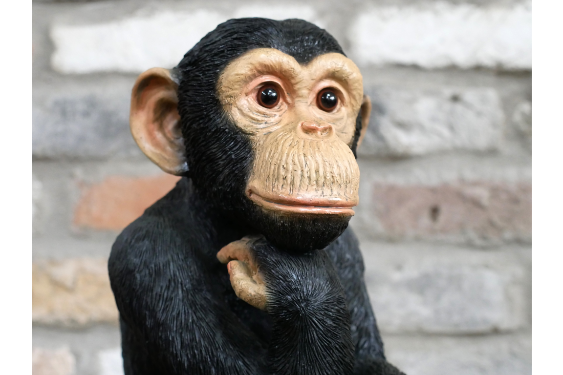 Monkey Thinking