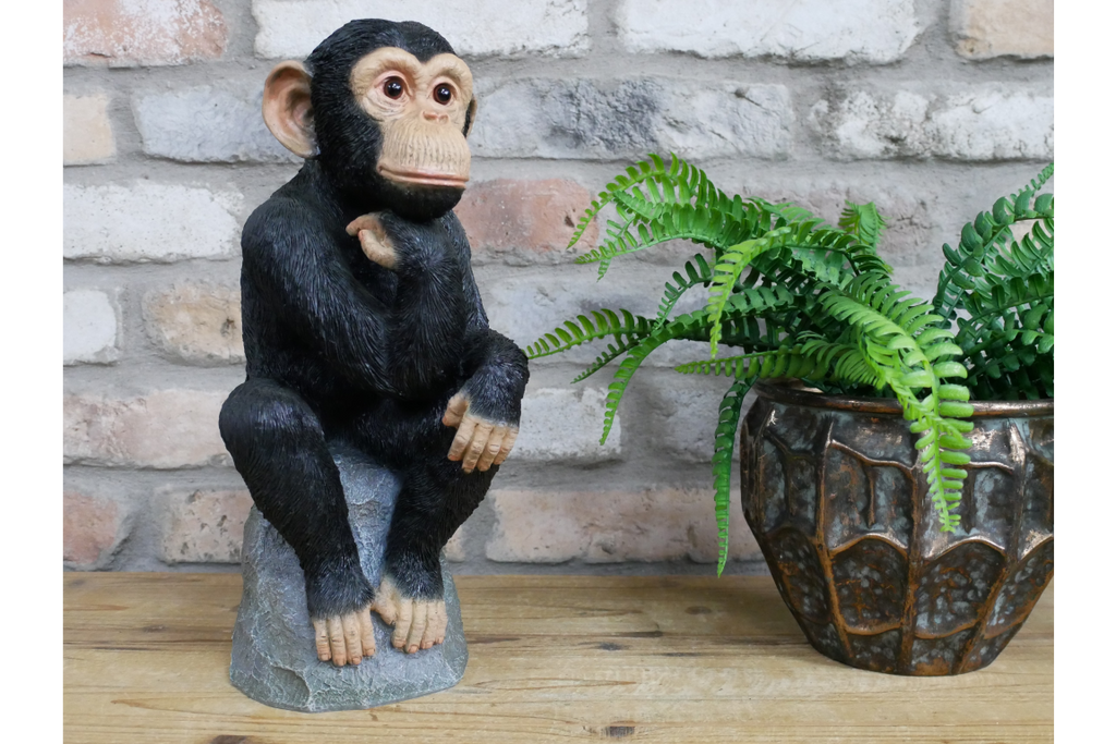 Monkey Thinking