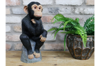 Monkey Thinking