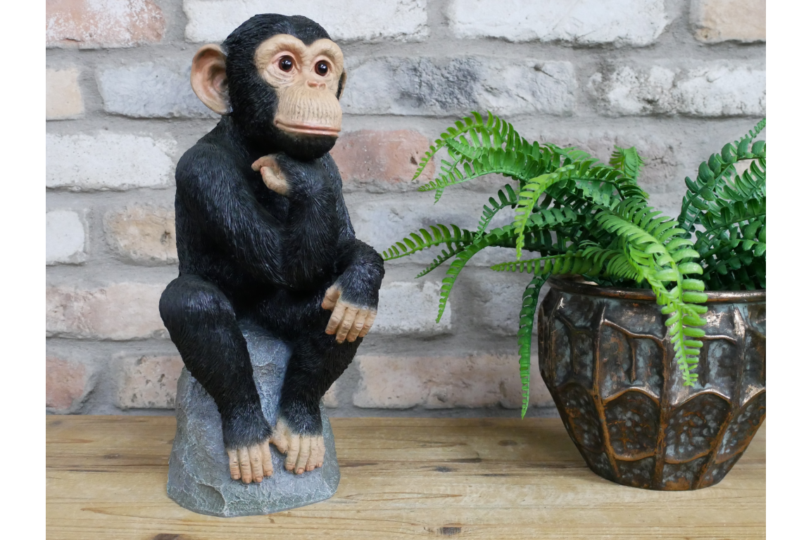 Monkey Thinking