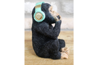 Monkey With Headphones