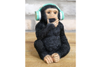 Monkey With Headphones