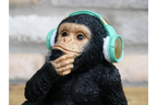 Monkey With Headphones