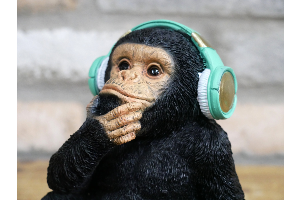 Monkey With Headphones