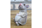 Fat Mouse