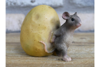Mouse Rolling Potato