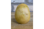Mouse Rolling Potato