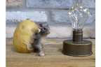 Mouse Rolling Potato