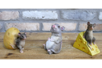 Mouse Rolling Potato