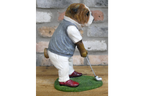 Bulldog Golfer