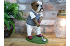 Bulldog Golfer