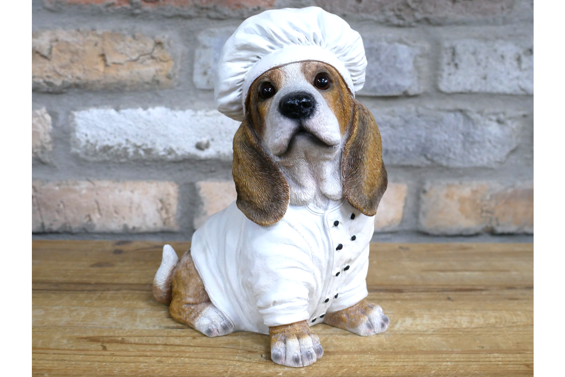 Dog Chef