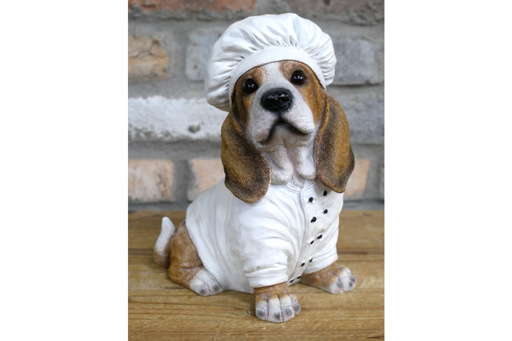 Dog Chef