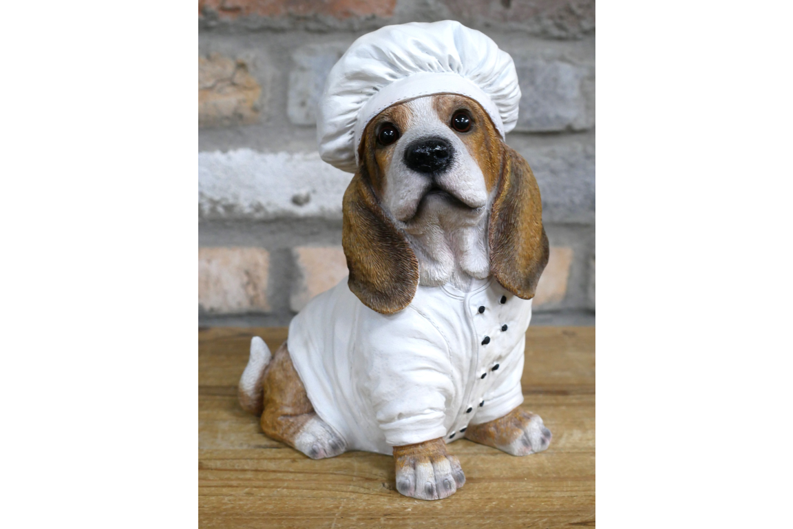 Dog Chef
