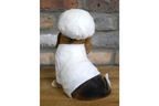 Dog Chef