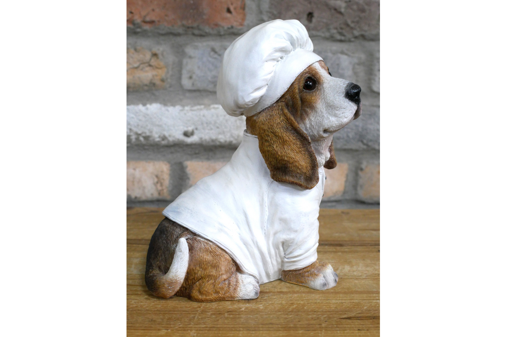 Dog Chef