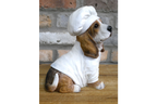 Dog Chef