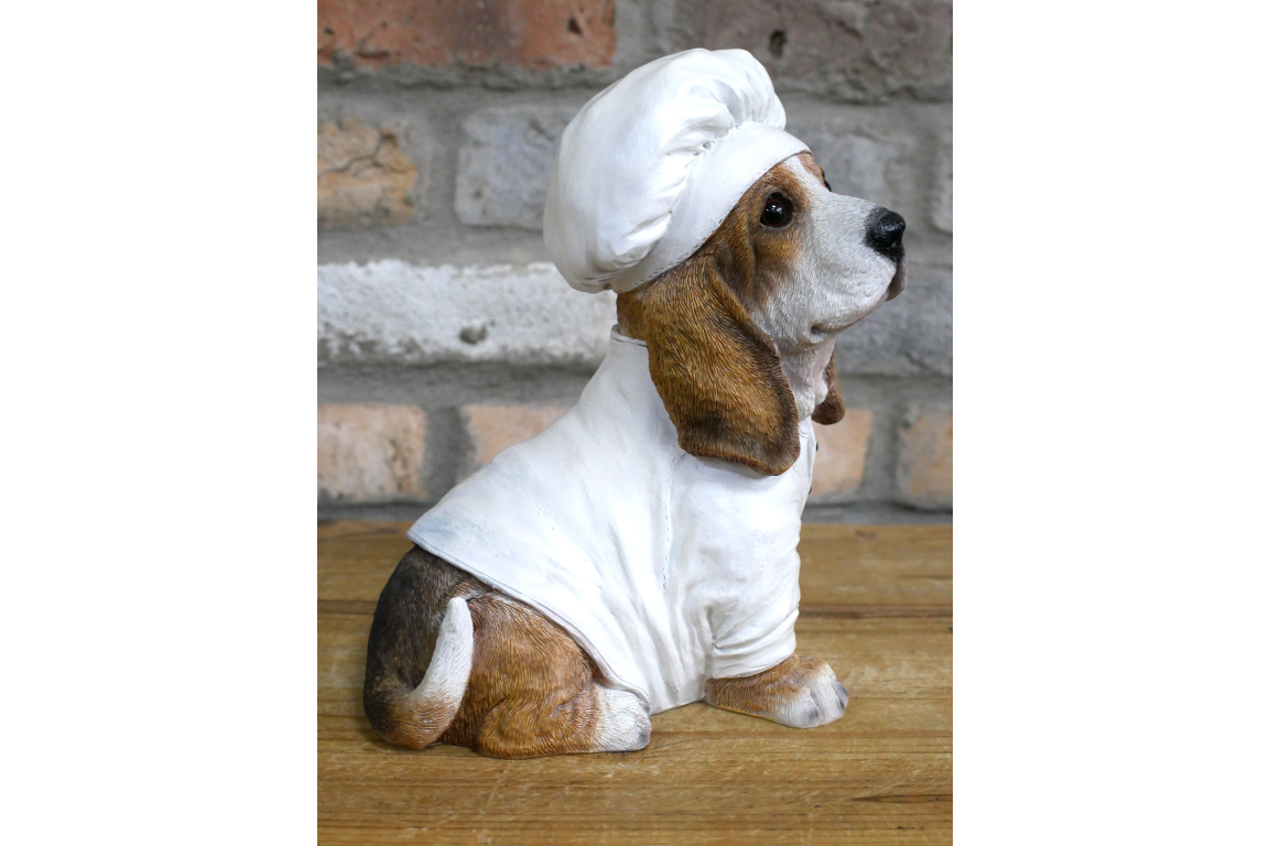 Dog Chef
