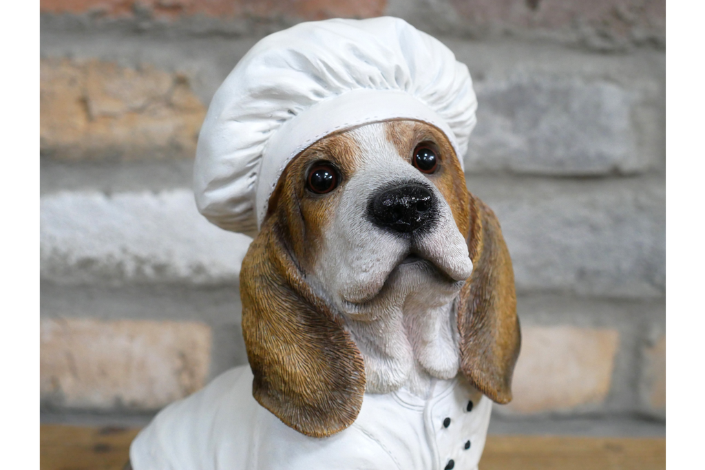 Dog Chef