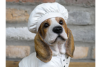 Dog Chef