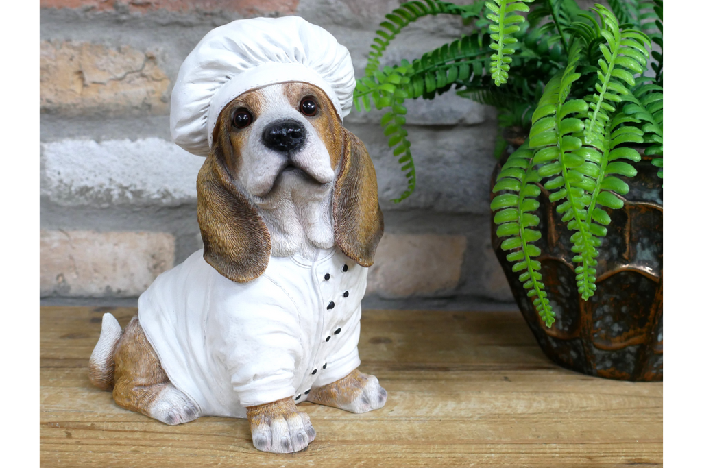Dog Chef