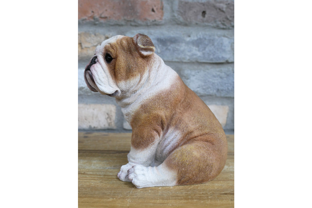 Bulldog
