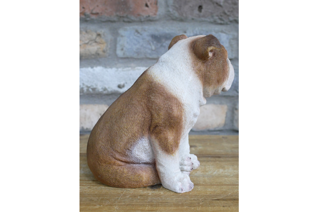 Bulldog