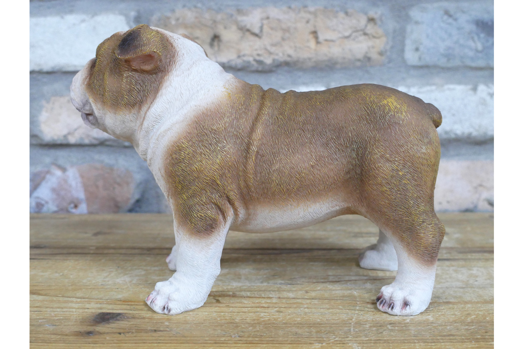 Bulldog