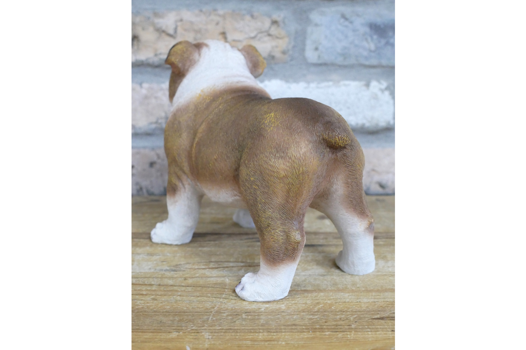 Bulldog