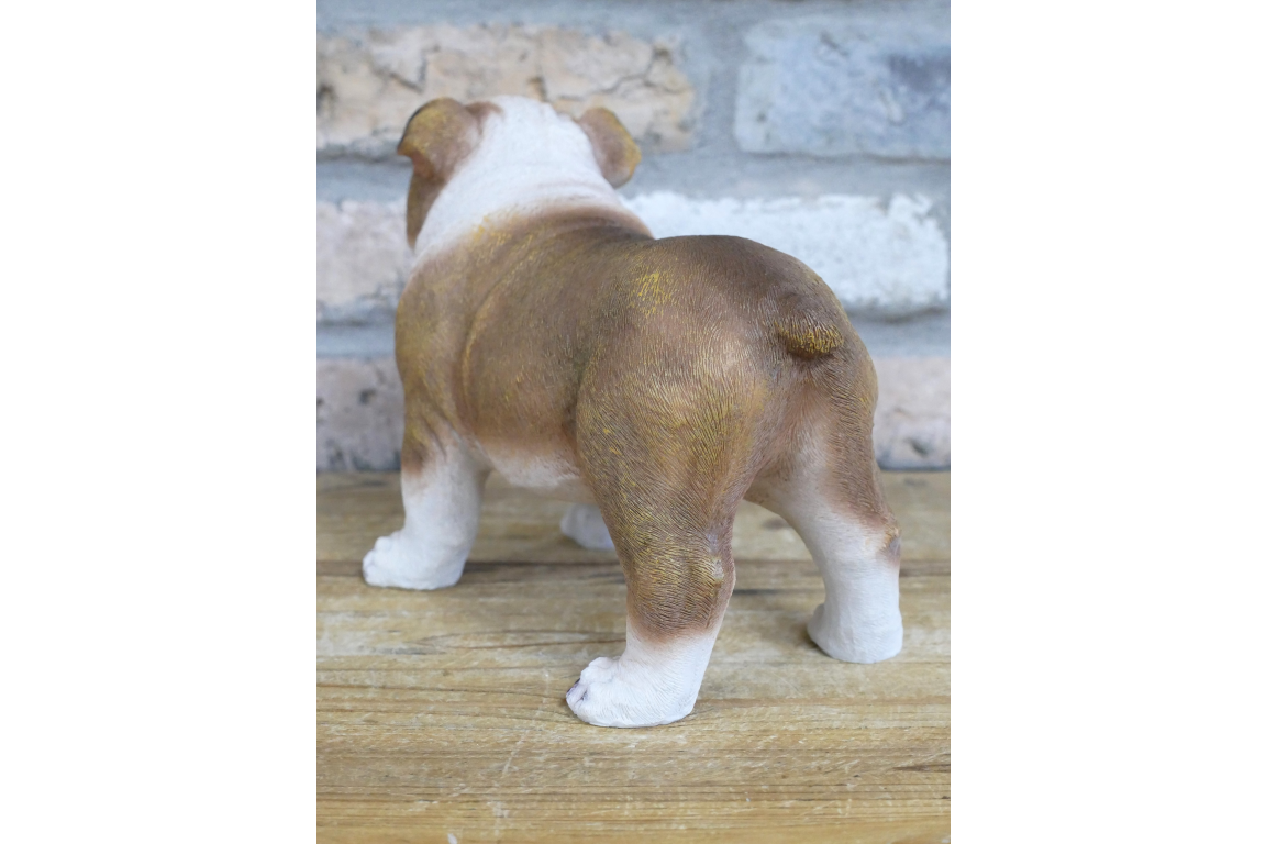 Bulldog