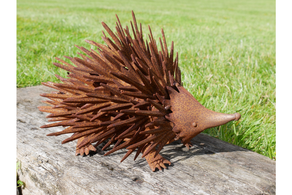 Rusty Hedgehog