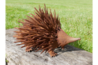Rusty Hedgehog