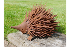 Rusty Hedgehog