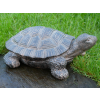 Tortoise