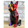 Multi Colour Dog With Shades
