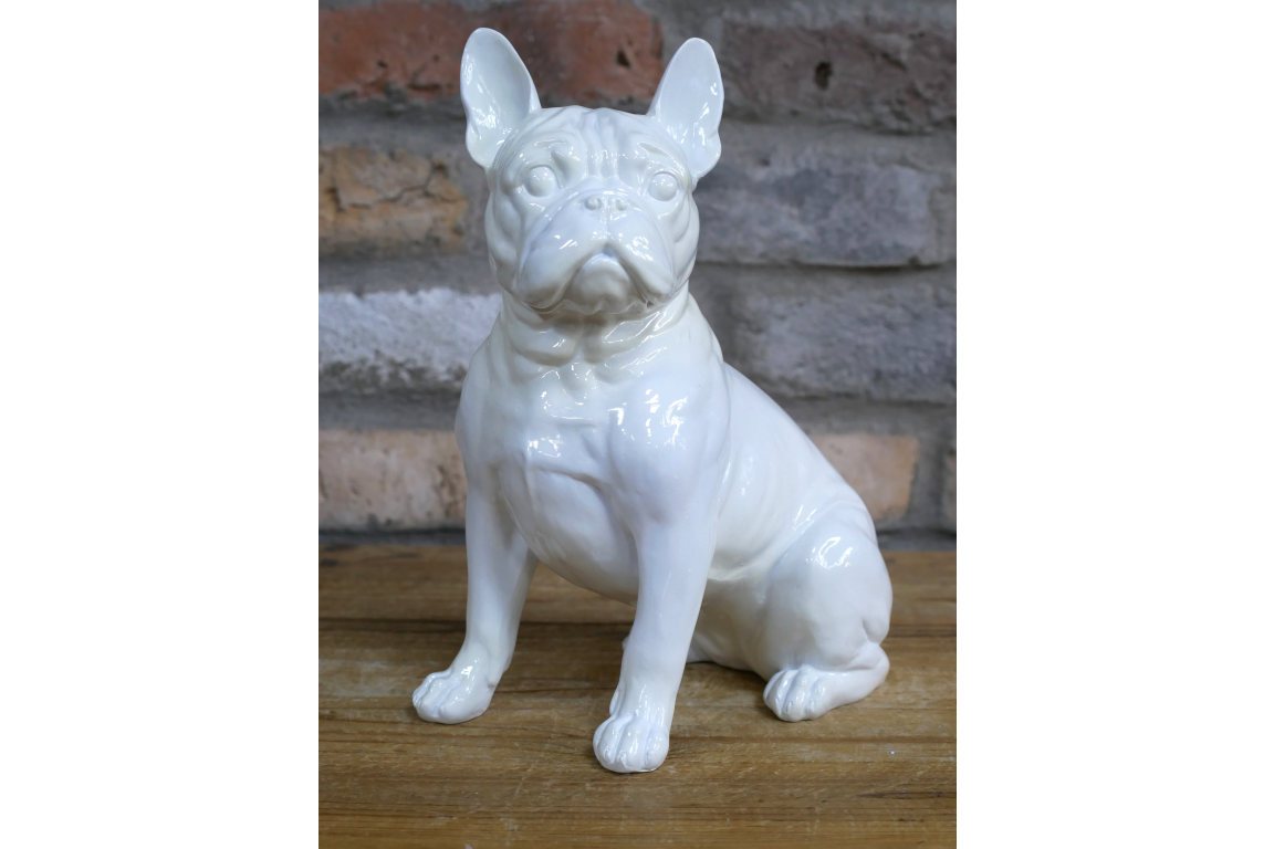 White Dog (Frenchie)